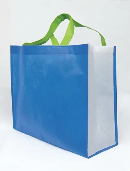 Bolsa Ecológica con Fuelle Grande